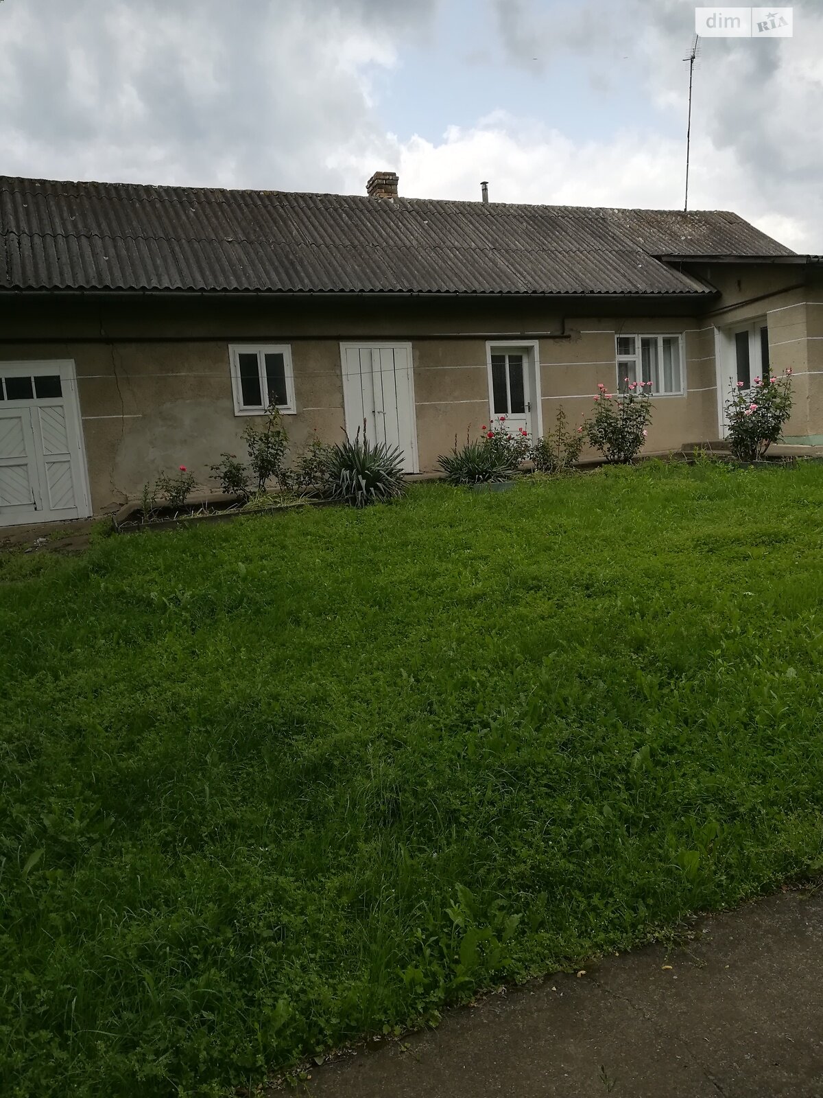 одноэтажный дом с гаражом, 64 кв. м, кирпич саманный. Продажа в Заставне район Заставна фото 1 одноэтажный дом с гаражом, 64 кв. м, кирпич саманный. Продажа в Заставне район Заставна фото 1