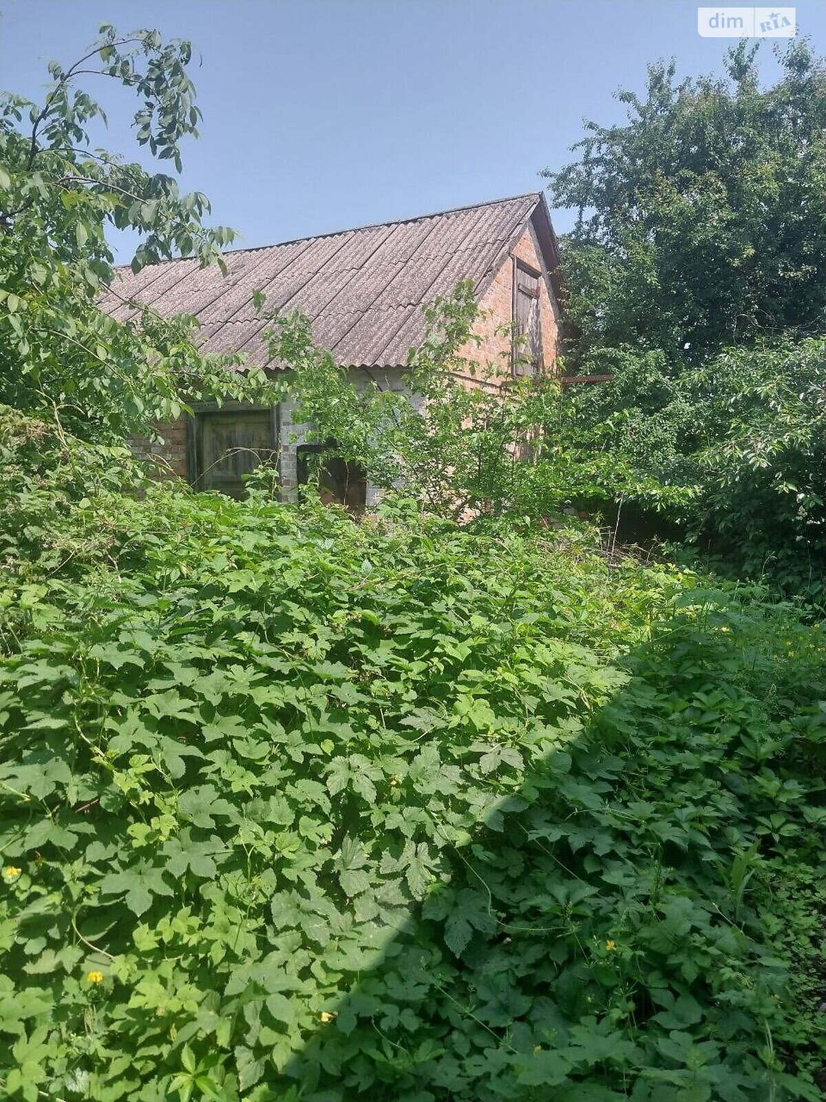 одноповерховий будинок з верандою, 65.1 кв. м, цегла. Продаж у Засупоївці фото 1 одноповерховий будинок з верандою, 65.1 кв. м, цегла. Продаж у Засупоївці фото 1