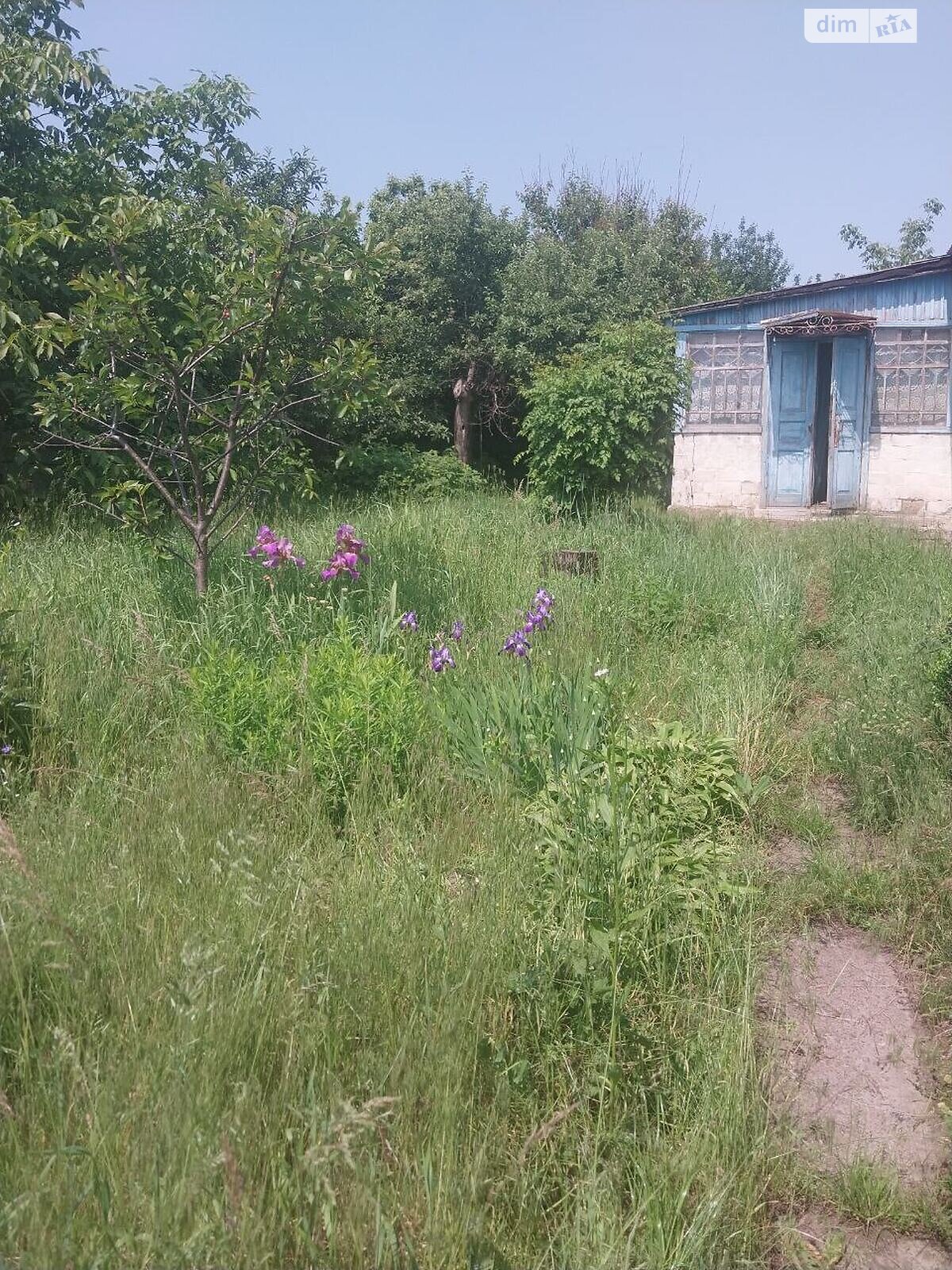 одноповерховий будинок з верандою, 65.1 кв. м, цегла. Продаж у Засупоївці фото 1 одноповерховий будинок з верандою, 65.1 кв. м, цегла. Продаж у Засупоївці фото 1