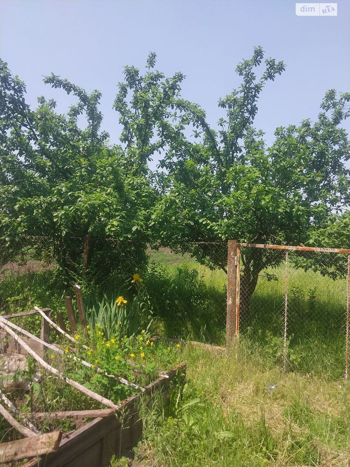одноповерховий будинок з верандою, 65.1 кв. м, цегла. Продаж у Засупоївці фото 1 одноповерховий будинок з верандою, 65.1 кв. м, цегла. Продаж у Засупоївці фото 1