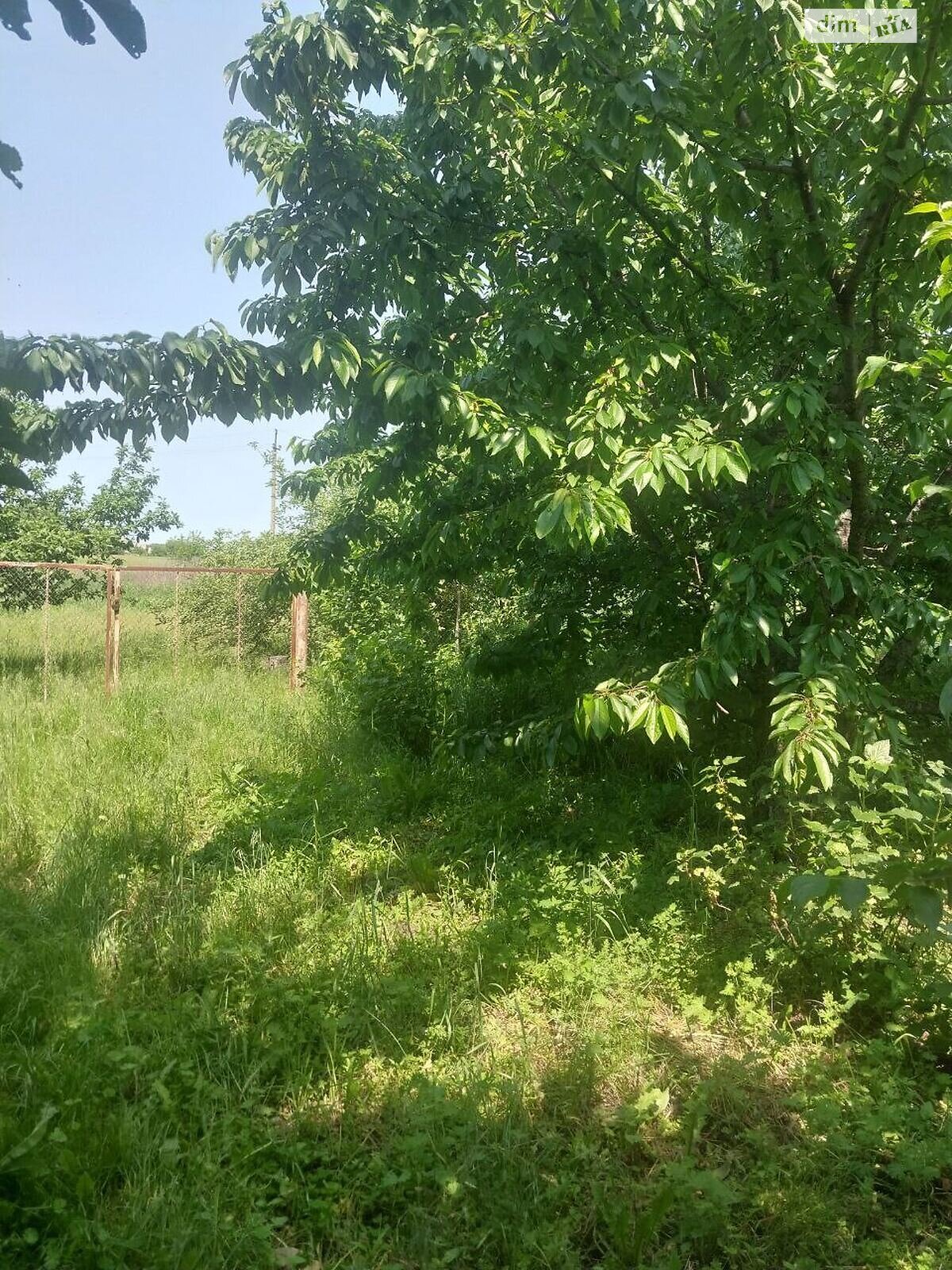 одноповерховий будинок з верандою, 65.1 кв. м, цегла. Продаж у Засупоївці фото 1 одноповерховий будинок з верандою, 65.1 кв. м, цегла. Продаж у Засупоївці фото 1