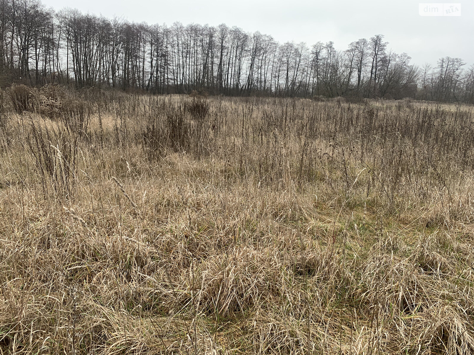 одноповерховий будинок з опаленням, 50.9 кв. м, цегла. Продаж у Заворскло фото 1