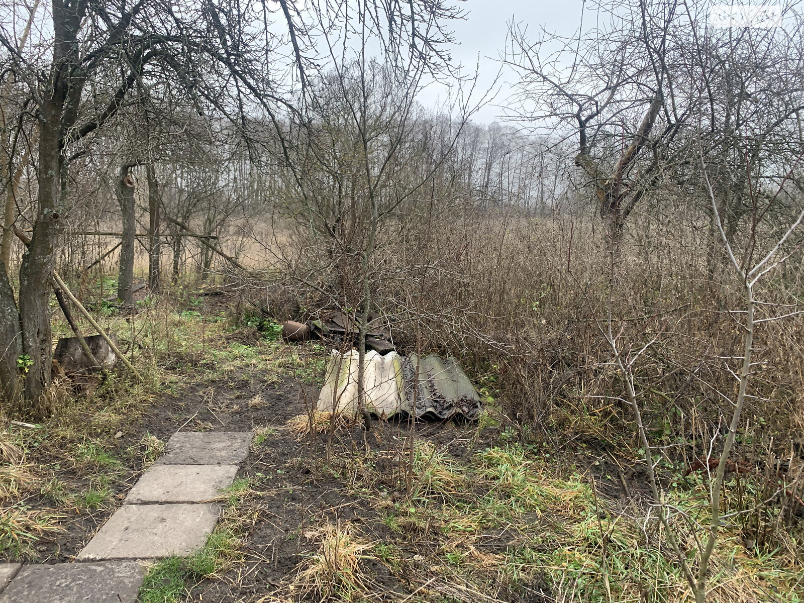 одноповерховий будинок з опаленням, 50.9 кв. м, цегла. Продаж у Заворскло фото 1