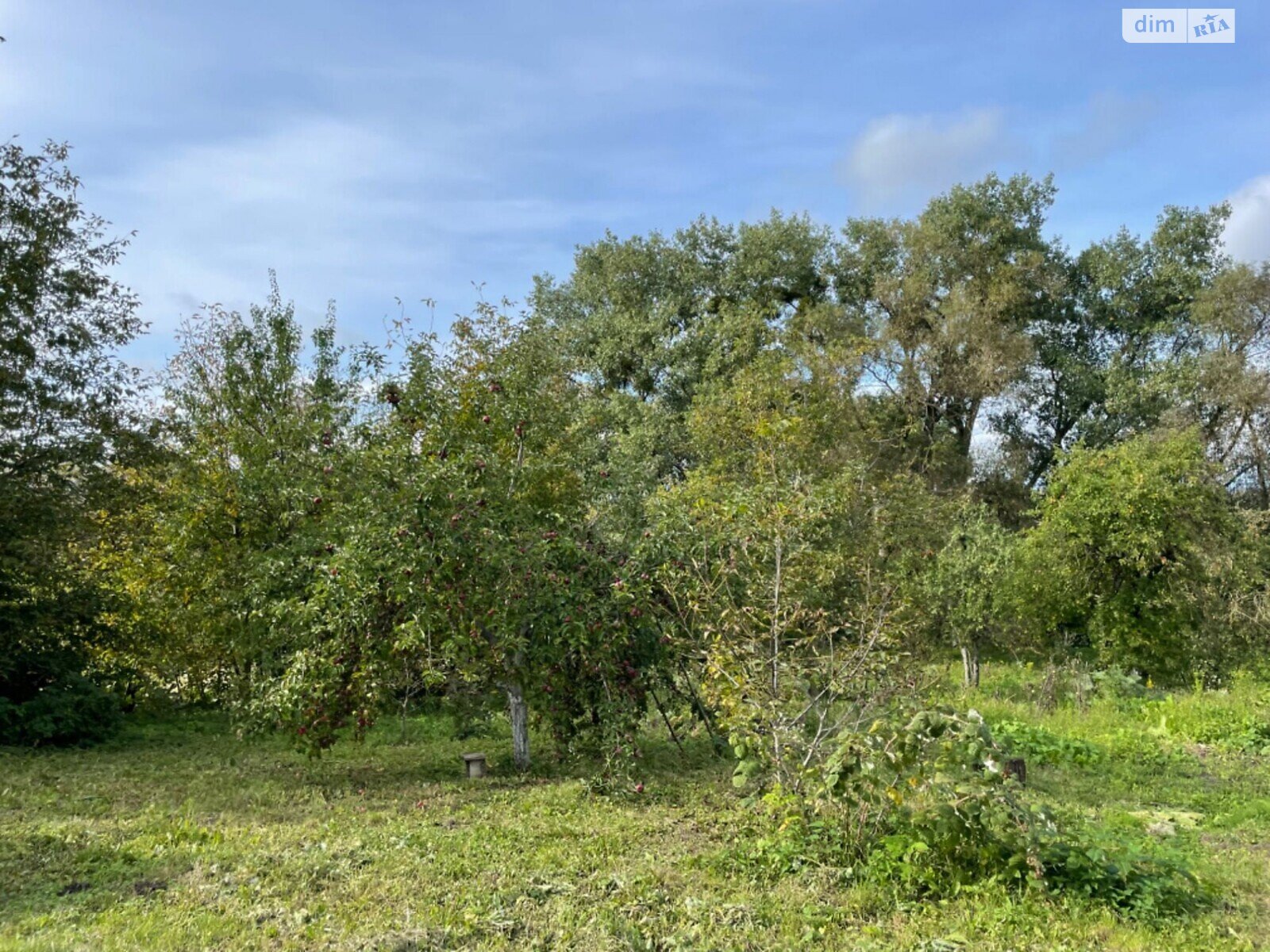 одноповерховий будинок з гаражем, 146.8 кв. м, цегла. Продаж у Здовбиці фото 1 одноповерховий будинок з гаражем, 146.8 кв. м, цегла. Продаж у Здовбиці фото 1