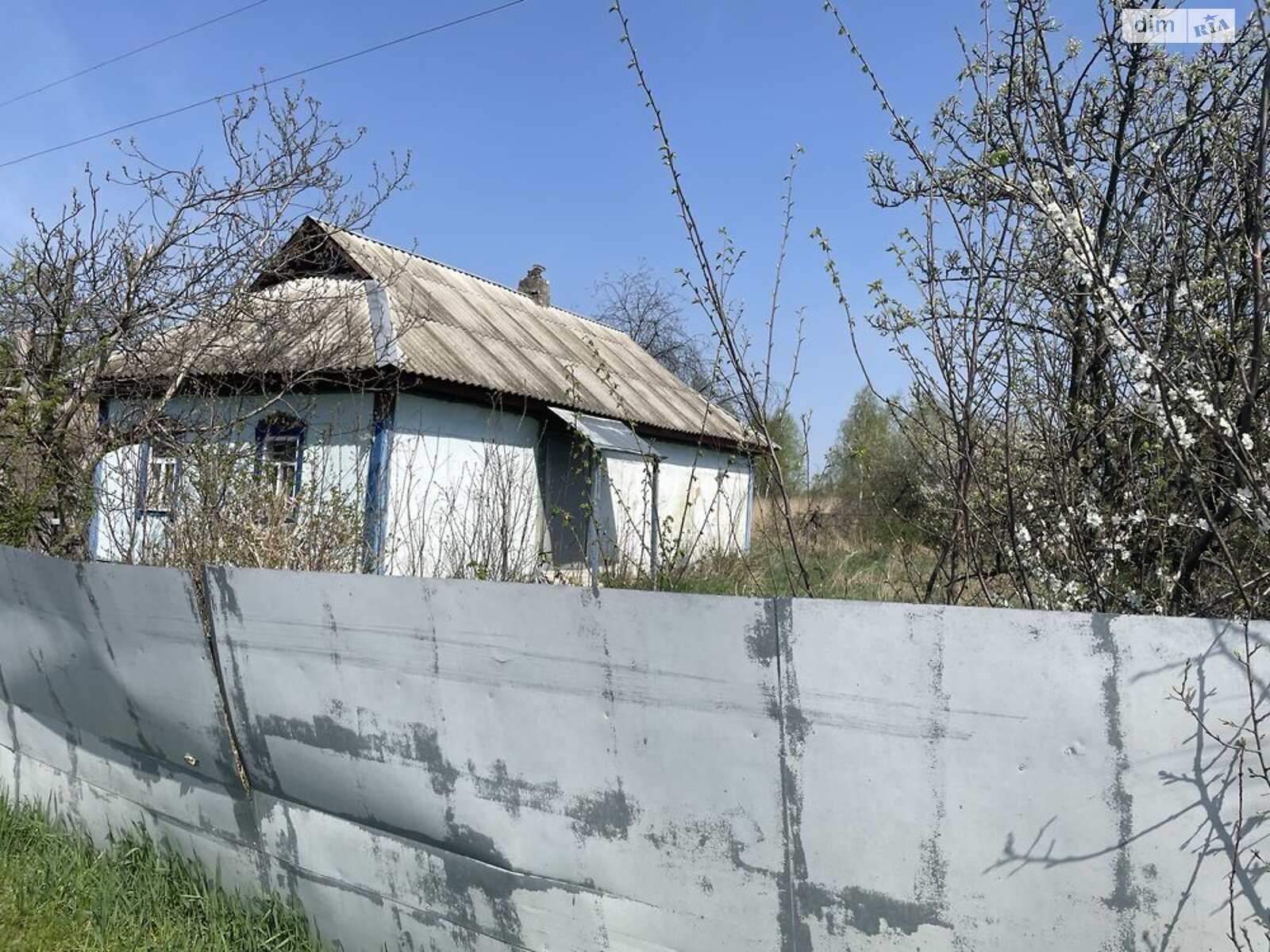 одноповерховий будинок з опаленням, 56 кв. м, зруб. Продаж у Здвижівці фото 1 одноповерховий будинок з опаленням, 56 кв. м, зруб. Продаж у Здвижівці фото 1
