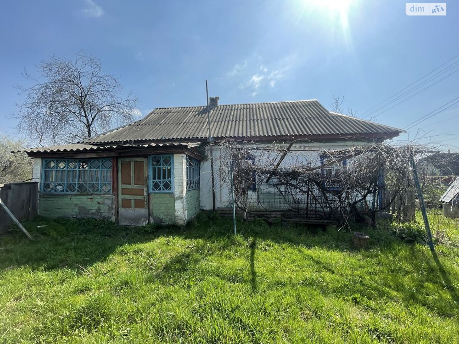 одноповерховий будинок з опаленням, 56 кв. м, зруб. Продаж у Здвижівці фото 1 одноповерховий будинок з опаленням, 56 кв. м, зруб. Продаж у Здвижівці фото 1