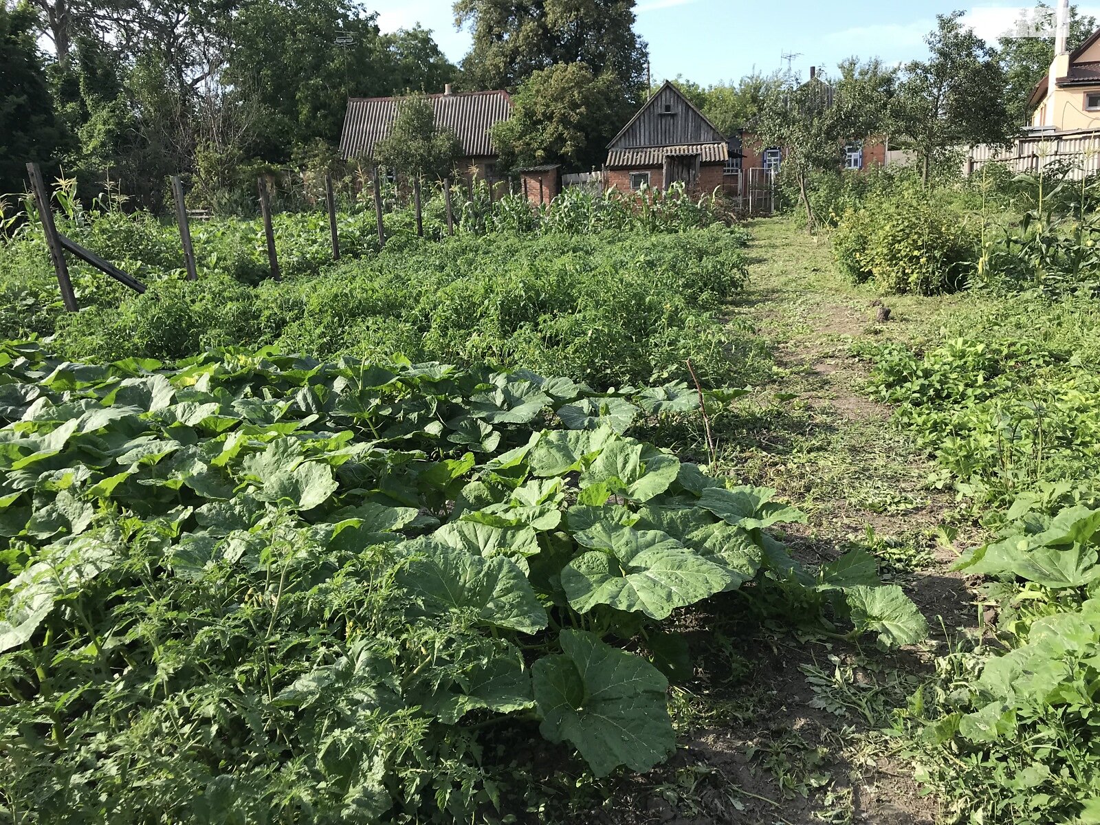 одноповерховий будинок, 54.4 кв. м, дерево та цегла. Продаж в Зінькові, район Зіньків фото 1