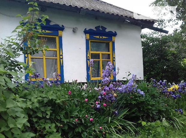 Продаж будинку, 48м², Київська, Згурівка, c. Жуківка Продаж будинку, 48м², Київська, Згурівка, c. Жуківка