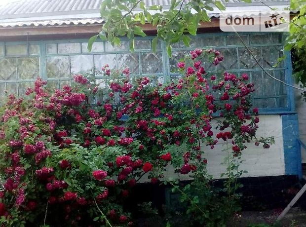 одноэтажный дом с садом, 80 кв. м, кирпич. Продажа в Згуровке район Згуровка фото 1 одноэтажный дом с садом, 80 кв. м, кирпич. Продажа в Згуровке район Згуровка фото 1