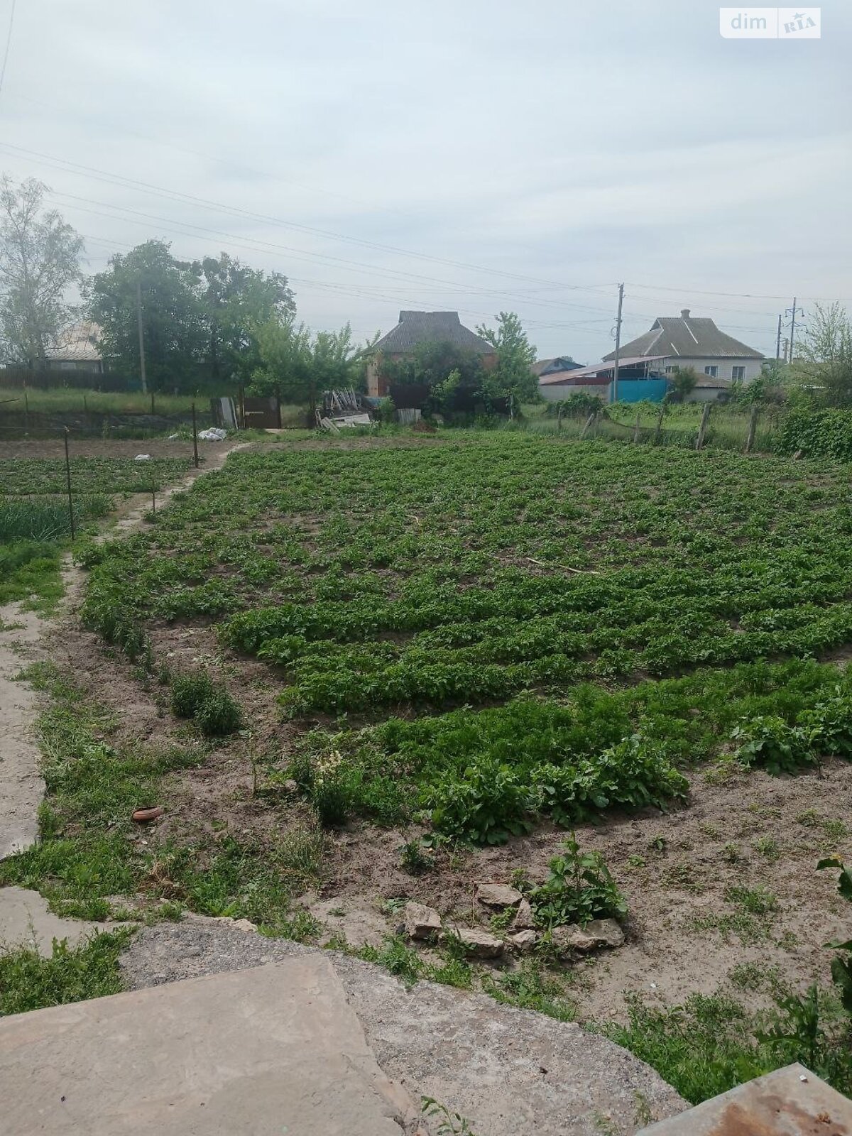 одноповерховий будинок з гаражем, 84.4 кв. м, цегла. Продаж в Змієві, район Зміїв фото 1 одноповерховий будинок з гаражем, 84.4 кв. м, цегла. Продаж в Змієві, район Зміїв фото 1