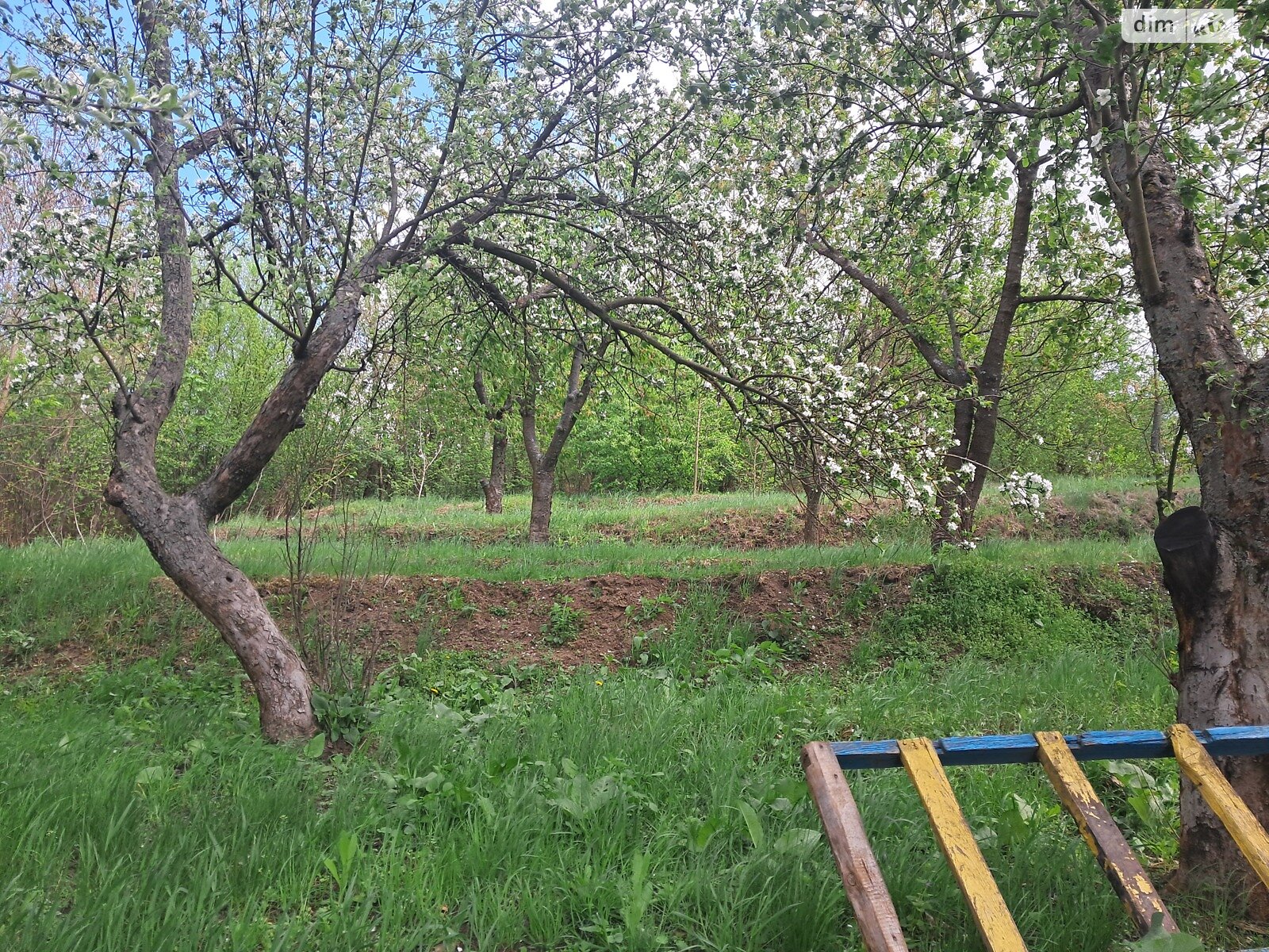 одноэтажный дом с гаражом, 61 кв. м, кирпич. Продажа в Золотоноше район Золотоноша фото 1