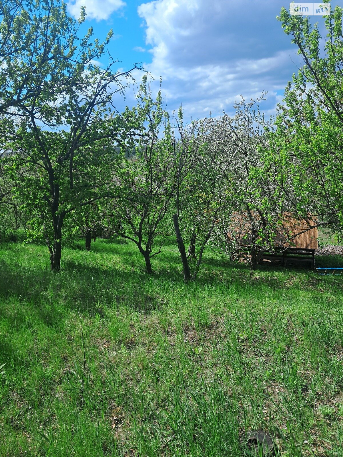 одноповерховий будинок з гаражем, 61 кв. м, цегла. Продаж в Золотоноші, район Золотоноша фото 1 одноповерховий будинок з гаражем, 61 кв. м, цегла. Продаж в Золотоноші, район Золотоноша фото 1