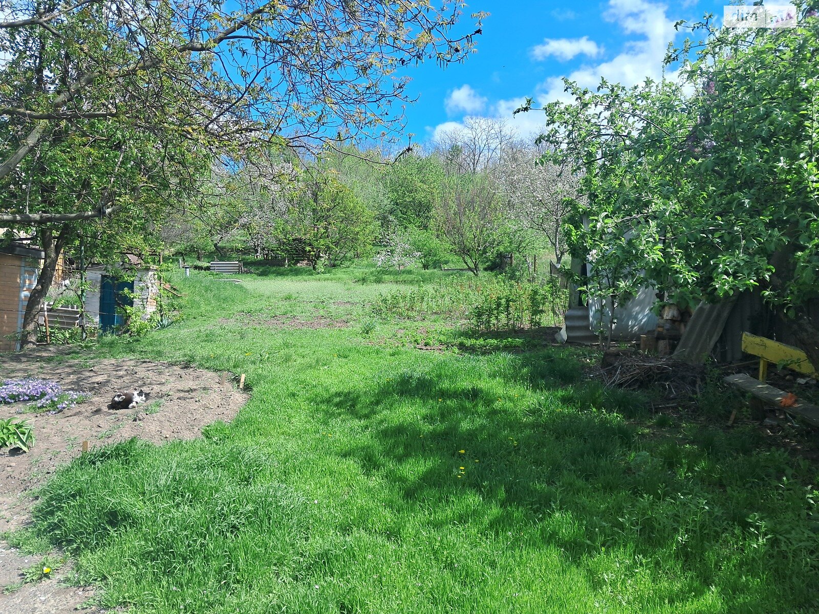 одноэтажный дом с гаражом, 61 кв. м, кирпич. Продажа в Золотоноше район Золотоноша фото 1