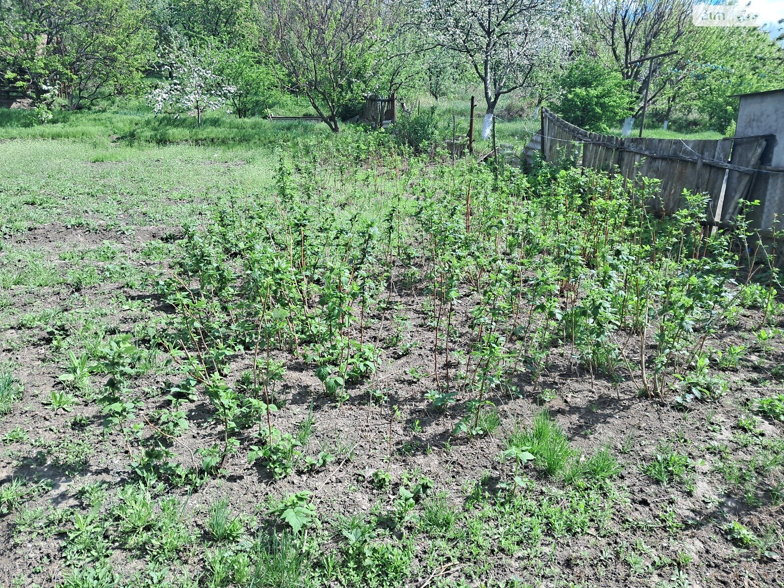 одноэтажный дом с гаражом, 61 кв. м, кирпич. Продажа в Золотоноше район Золотоноша фото 1