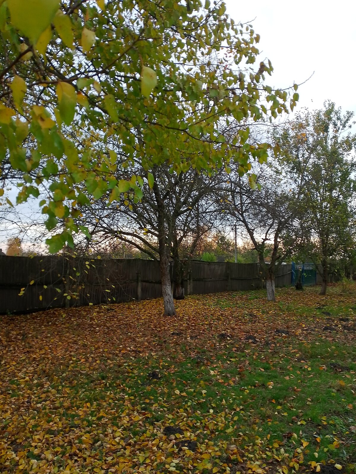 одноэтажный дом, 4000 кв. м, кирпич. Продажа в Зуевцах фото 1