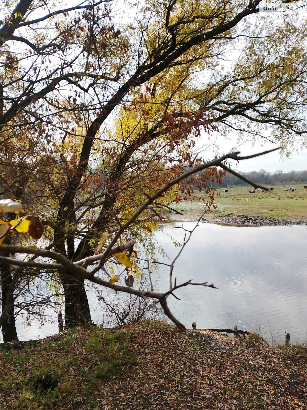 одноэтажный дом, 4000 кв. м, кирпич. Продажа в Зуевцах фото 1