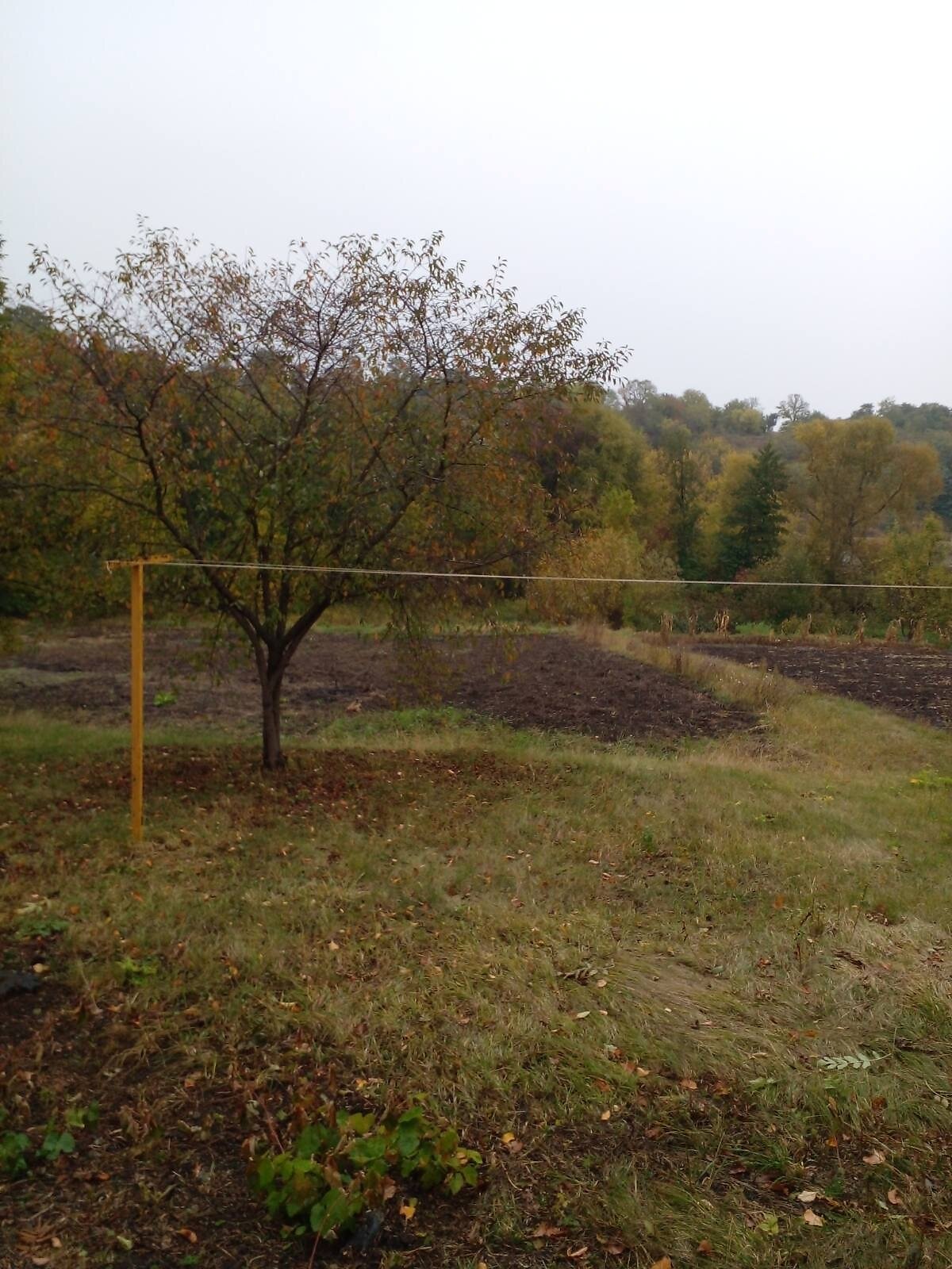 одноэтажный дом, 70 кв. м, кирпич. Продажа в Звенигородке фото 1