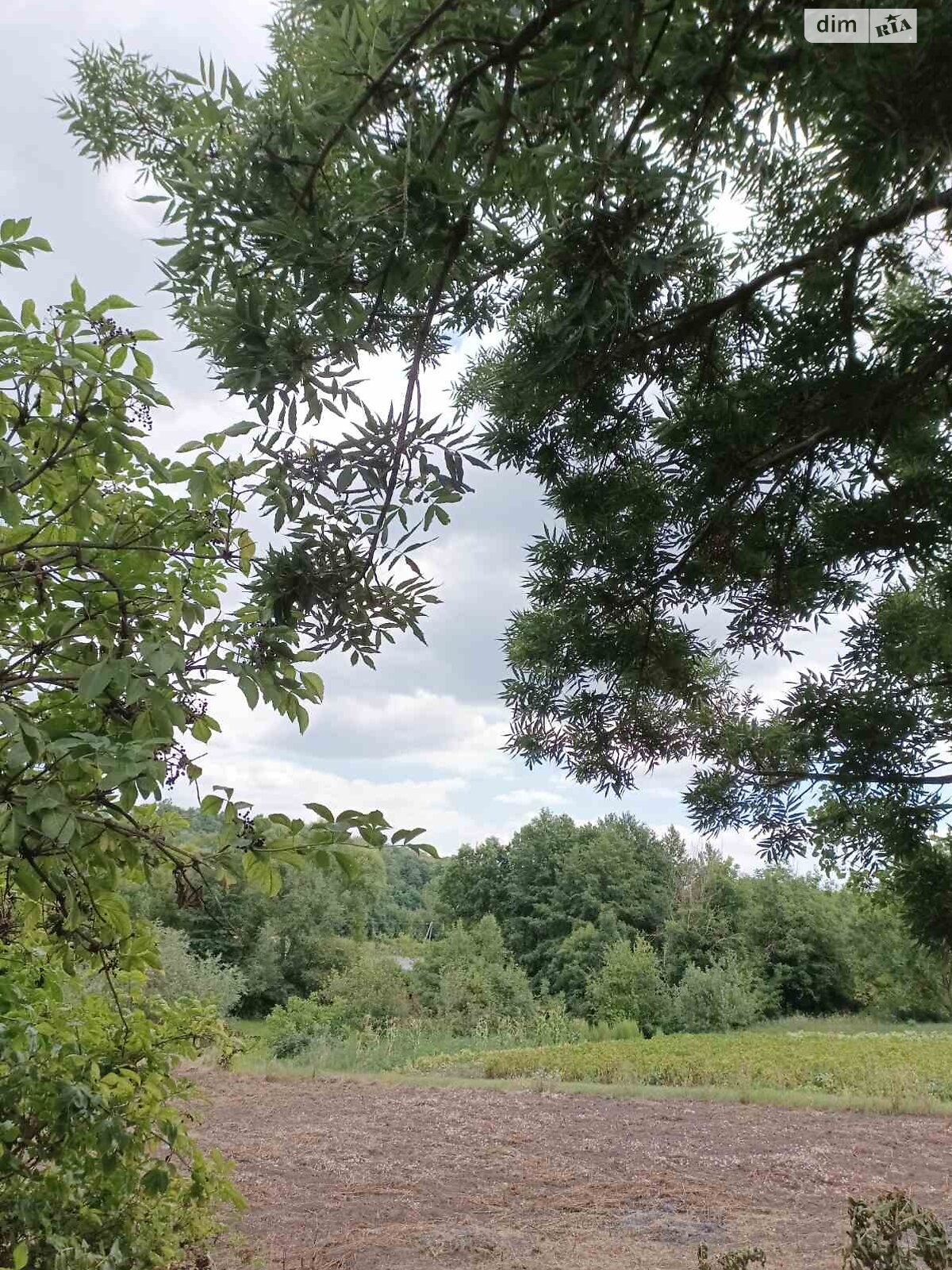 одноэтажный дом, 70 кв. м, кирпич. Продажа в Звенигородке фото 1