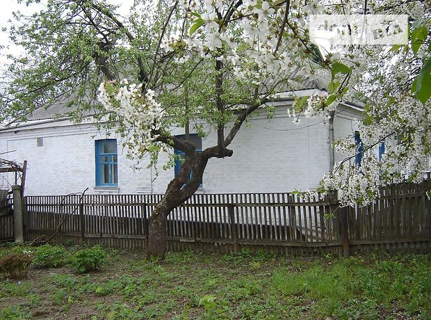 одноэтажный дом с садом, 70 кв. м, кирпич. Продажа в Стебном (Черкасская обл.) фото 1 одноэтажный дом с садом, 70 кв. м, кирпич. Продажа в Стебном (Черкасская обл.) фото 1