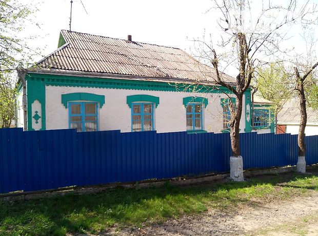 одноэтажный дом с садом, 69.6 кв. м, кирпич. Продажа в Юрковке (Черкасская обл.) фото 1 одноэтажный дом с садом, 69.6 кв. м, кирпич. Продажа в Юрковке (Черкасская обл.) фото 1
