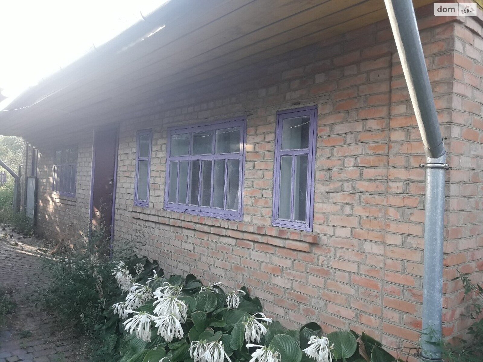 одноэтажный дом с верандой, 78 кв. м, кирпич. Продажа в Звенигородке район Звенигородка фото 1 одноэтажный дом с верандой, 78 кв. м, кирпич. Продажа в Звенигородке район Звенигородка фото 1