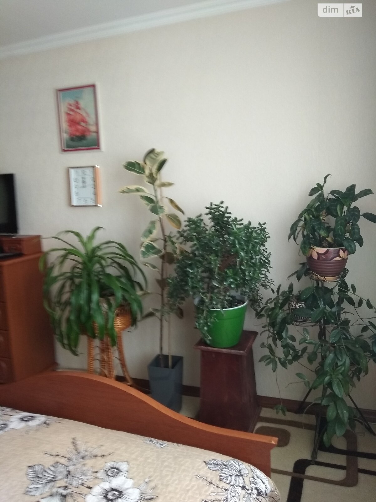 двоповерховий будинок, 100 кв. м, цегла. Продаж у Звягелі фото 1 двоповерховий будинок, 100 кв. м, цегла. Продаж у Звягелі фото 1