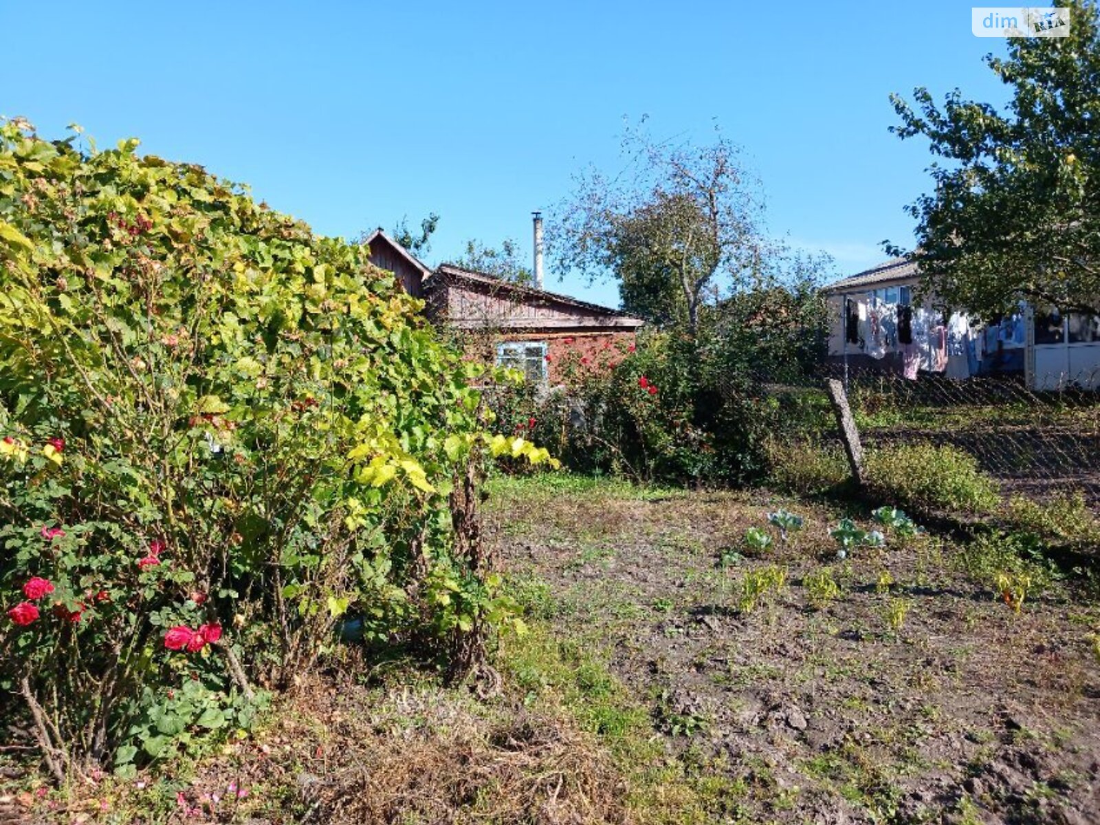 одноэтажный дом с верандой, 62.6 кв. м, шлакобетон. Продажа в Звягеле район Звягель фото 1