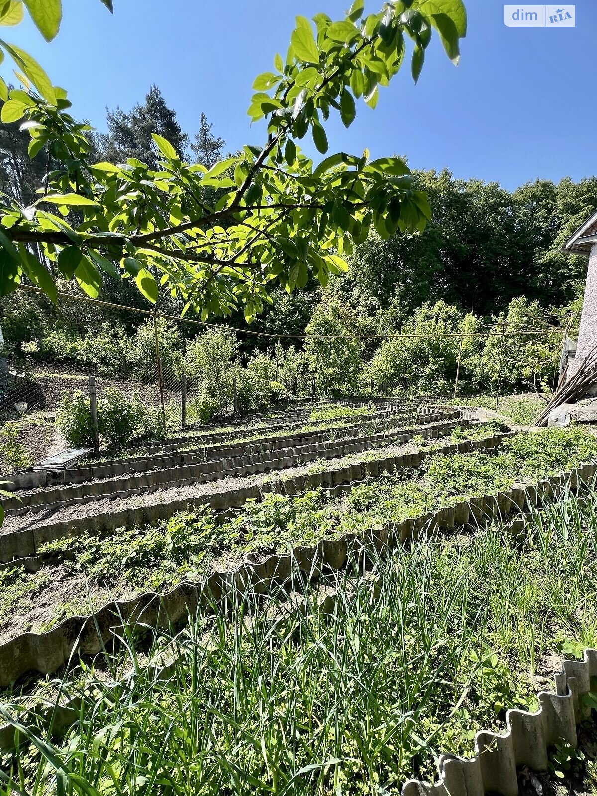 одноповерховий будинок з гаражем, 101.7 кв. м, цегла. Продаж в Звягелі, район Звягель фото 1 одноповерховий будинок з гаражем, 101.7 кв. м, цегла. Продаж в Звягелі, район Звягель фото 1