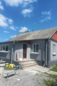 одноповерховий будинок з опаленням, 95 кв. м, газобетон. Продаж у Звягелі фото 2