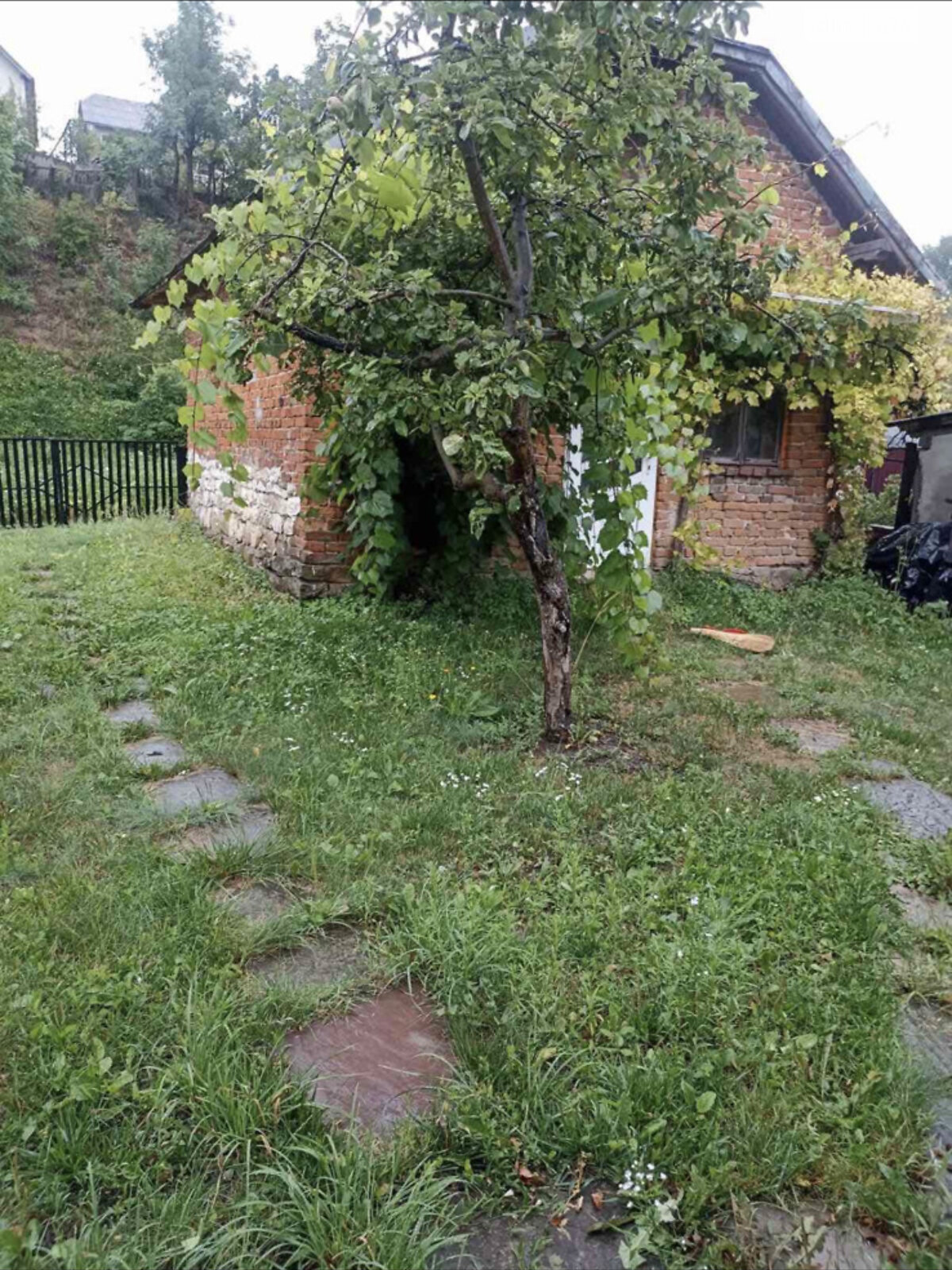 одноповерховий дуплекс, 55 кв. м, цегла. Продаж у Бучачі фото 1