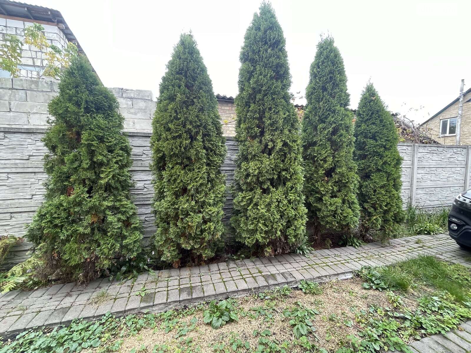 двоповерховий дуплекс, 107 кв. м, цегла. Продаж у Горенці фото 1 двоповерховий дуплекс, 107 кв. м, цегла. Продаж у Горенці фото 1