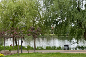 двоповерховий дуплекс, 145 кв. м, цегла. Продаж у Гостомелі фото 2