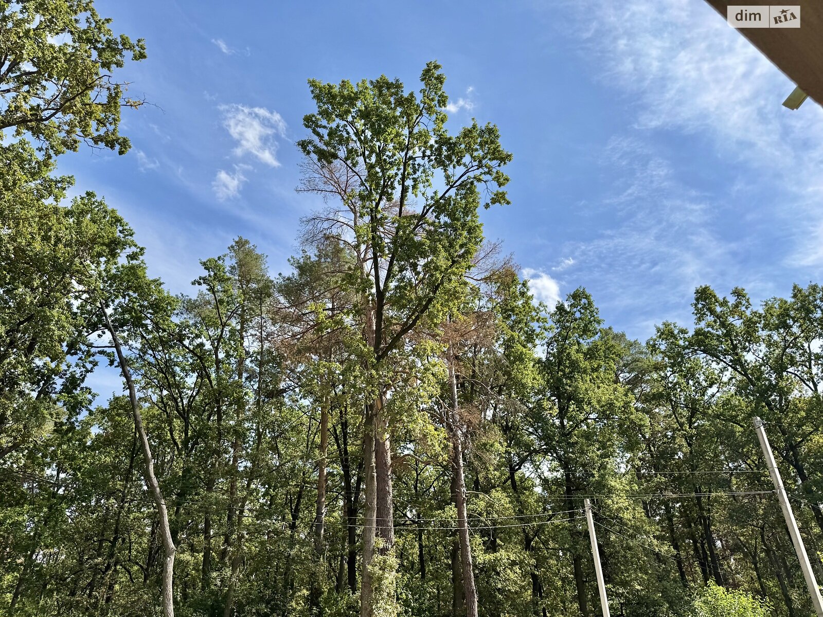 триповерховий дуплекс, 102 кв. м, кирпич. Продаж в Ірпені, район Ірпінь фото 1 триповерховий дуплекс, 102 кв. м, кирпич. Продаж в Ірпені, район Ірпінь фото 1