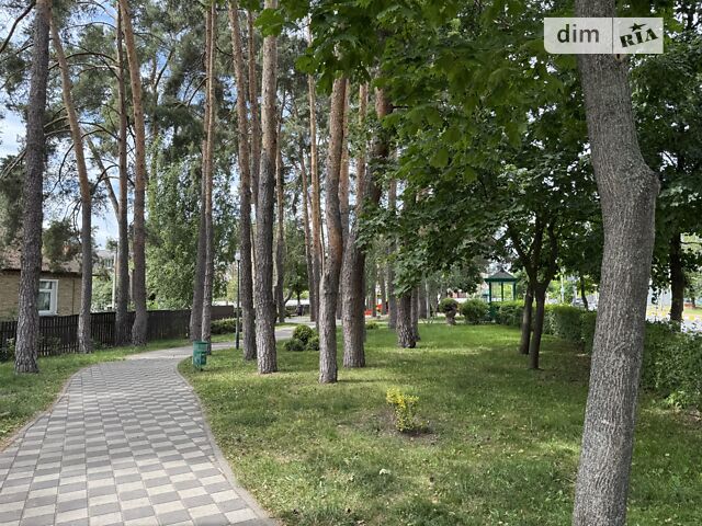 Будинок за адресою вул. Пушкінська (площа 110 м²) - Atlanta.ua - фото 43