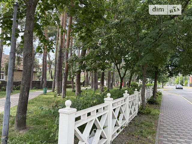 Будинок за адресою вул. Пушкінська (площа 110 м²) - Atlanta.ua - фото 44