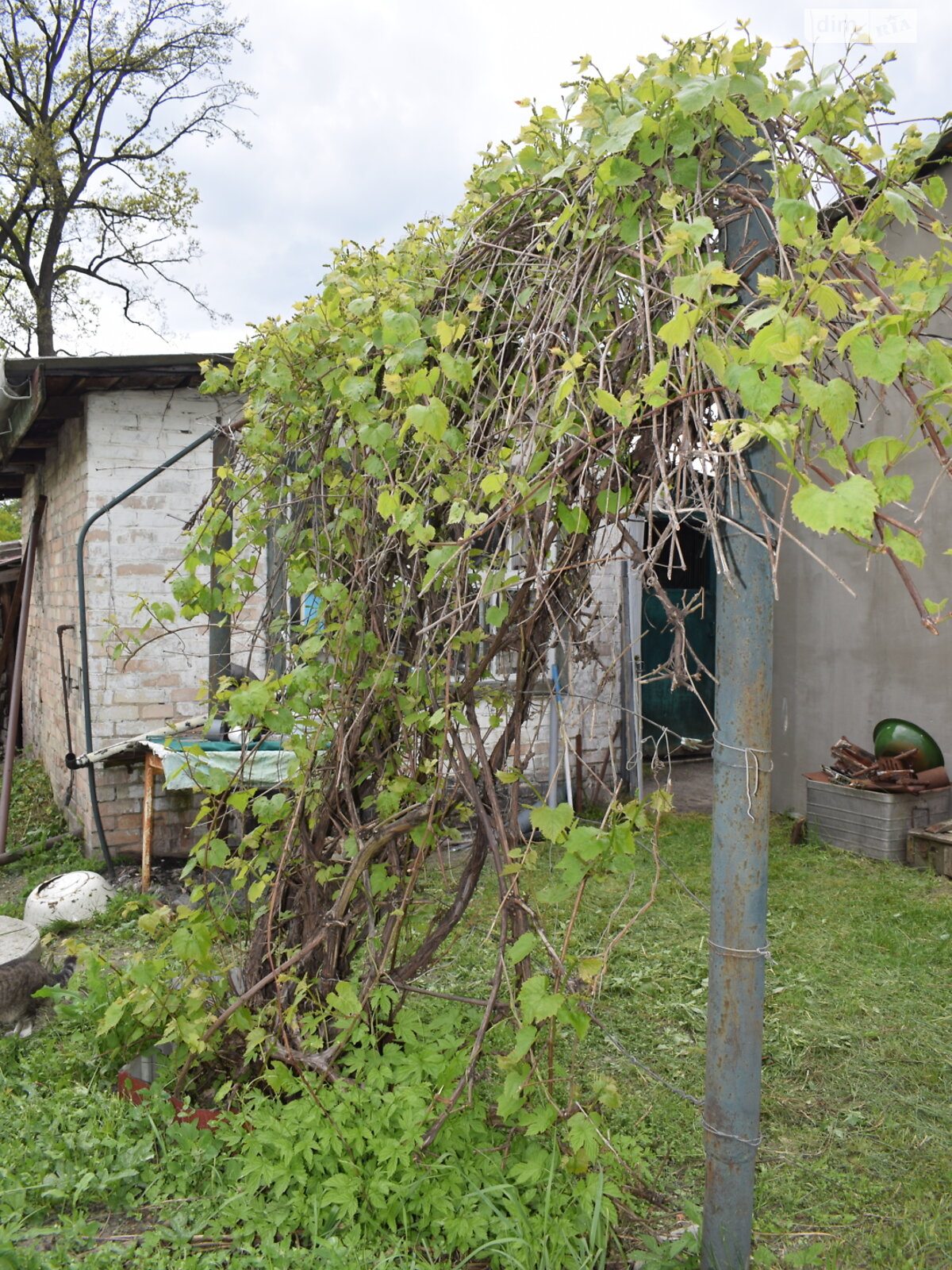 одноповерховий дуплекс, 71.2 кв. м, цегла. Продаж у Клавдієво-Тарасовому фото 1 одноповерховий дуплекс, 71.2 кв. м, цегла. Продаж у Клавдієво-Тарасовому фото 1