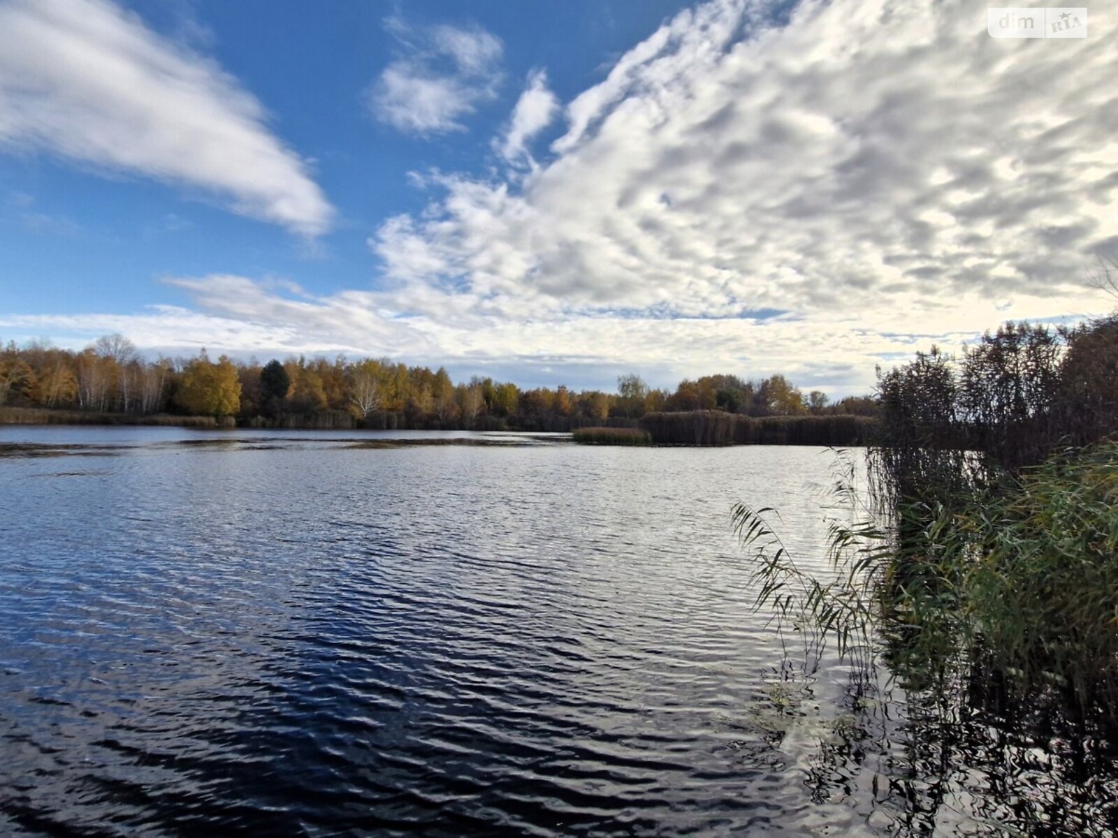 двоповерховий дуплекс, 170 кв. м, цегла. Продаж у Козині фото 1 двоповерховий дуплекс, 170 кв. м, цегла. Продаж у Козині фото 1
