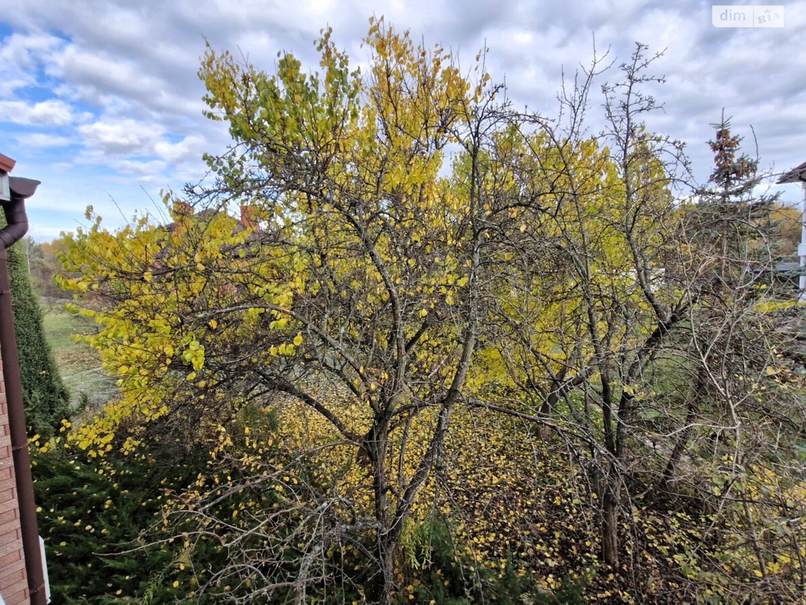 двоповерховий дуплекс, 170 кв. м, цегла. Продаж у Козині фото 1 двоповерховий дуплекс, 170 кв. м, цегла. Продаж у Козині фото 1