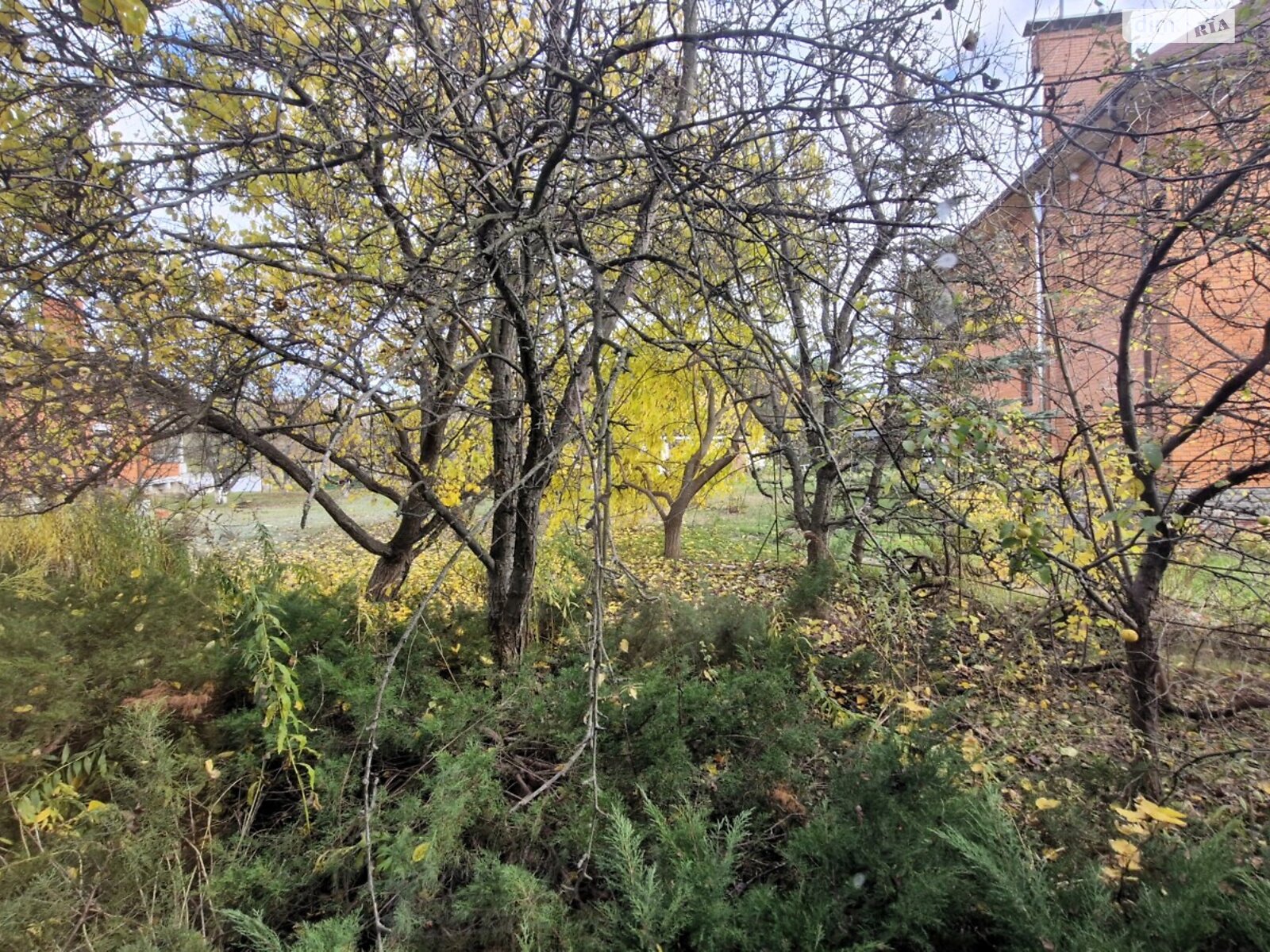 двоповерховий дуплекс, 170 кв. м, цегла. Продаж у Козині фото 1 двоповерховий дуплекс, 170 кв. м, цегла. Продаж у Козині фото 1