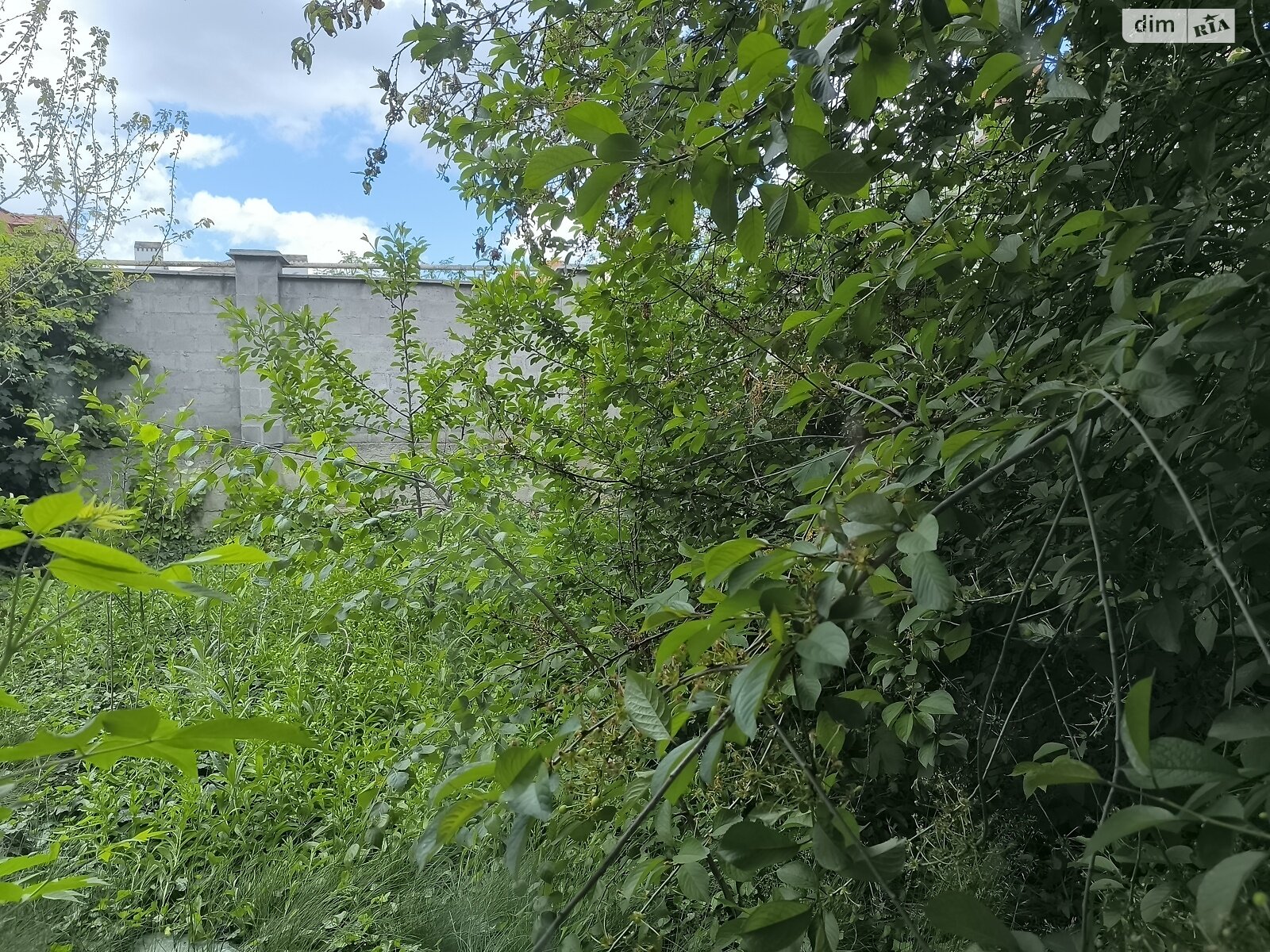 триповерховий дуплекс, 270 кв. м, кирпич. Продаж в Одесі, район Совіньйон фото 1 триповерховий дуплекс, 270 кв. м, кирпич. Продаж в Одесі, район Совіньйон фото 1
