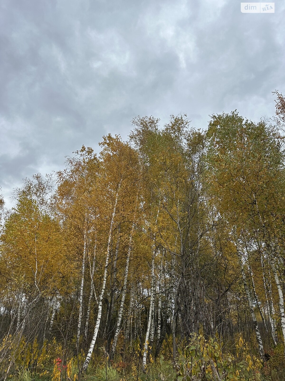 двухэтажный дуплекс, 105 кв. м, кирпич. Продажа в Скнилове фото 1 двухэтажный дуплекс, 105 кв. м, кирпич. Продажа в Скнилове фото 1