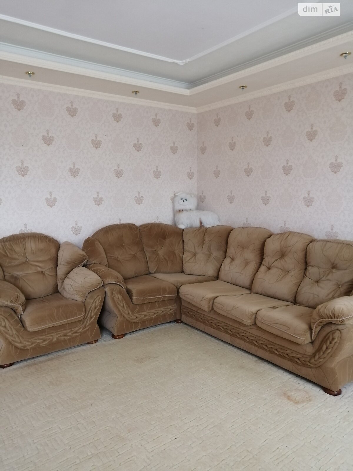 двоповерховий дуплекс, 113 кв. м, цегла. Продаж у Степне фото 1 двоповерховий дуплекс, 113 кв. м, цегла. Продаж у Степне фото 1