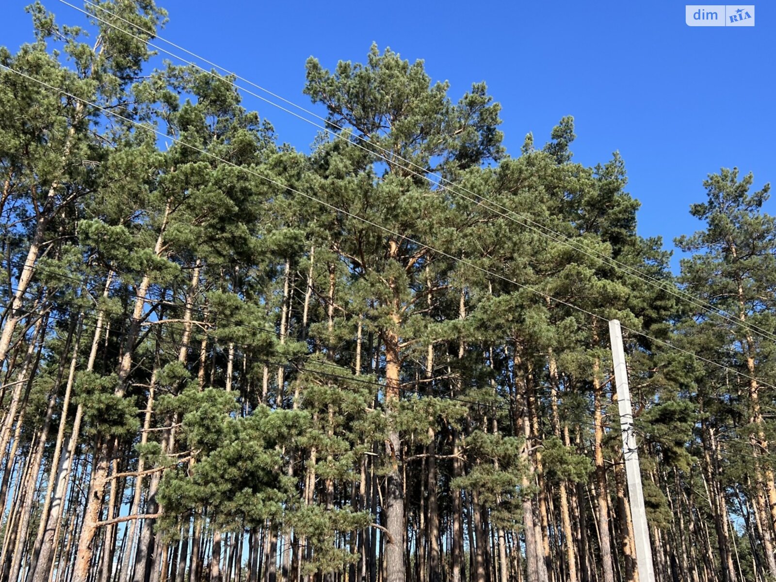 двухэтажный дуплекс, 125 кв. м, газобетон. Продажа в Стоянке фото 1 двухэтажный дуплекс, 125 кв. м, газобетон. Продажа в Стоянке фото 1