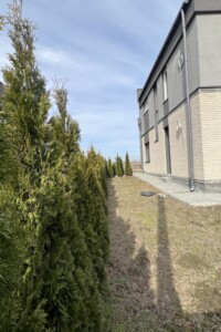 двоповерховий дуплекс, 152 кв. м, кирпич. Продаж у Святопетрівське фото 2