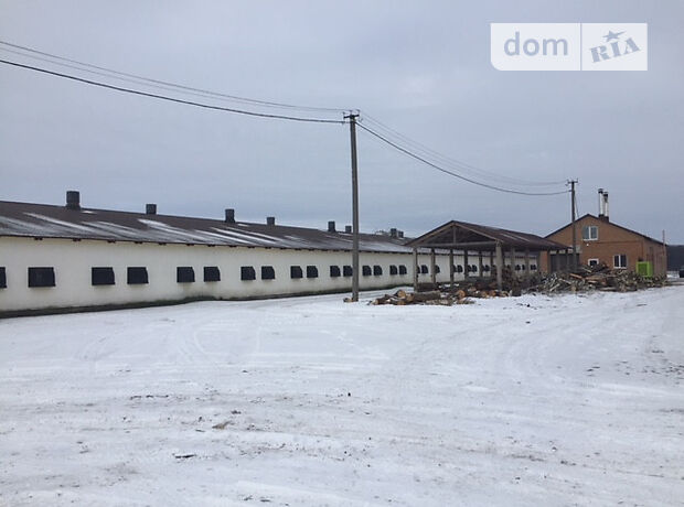 Готовый бизнес в Житомире, цена продажи: договорная за объект фото 1 Готовый бизнес в Житомире, цена продажи: договорная за объект фото 1