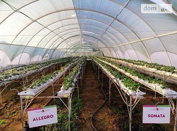 Готовый бизнес в Кагарлыке, продажа по Центральна, район Кагарлык, цена: договорная за объект фото 1 Готовый бизнес в Кагарлыке, продажа по Центральна, район Кагарлык, цена: договорная за объект фото 1
