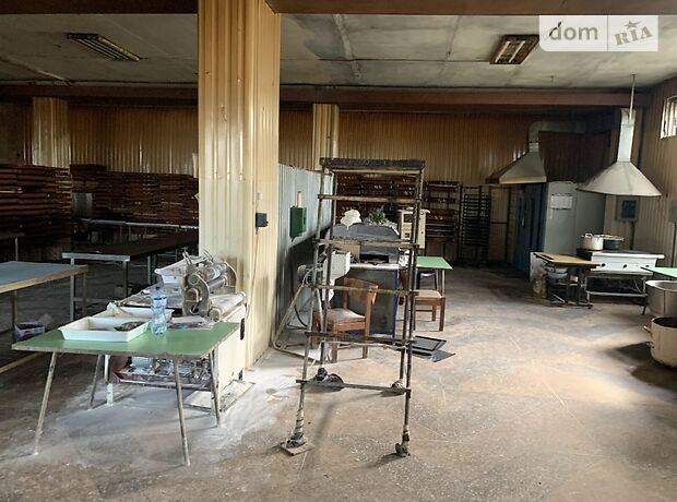 Готовый бизнес в Николаеве, продажа по Чорневола (Гмырева) улица, район Центральный, цена: 95 000 долларов за объект фото 1 Готовый бизнес в Николаеве, продажа по Чорневола (Гмырева) улица, район Центральный, цена: 95 000 долларов за объект фото 1
