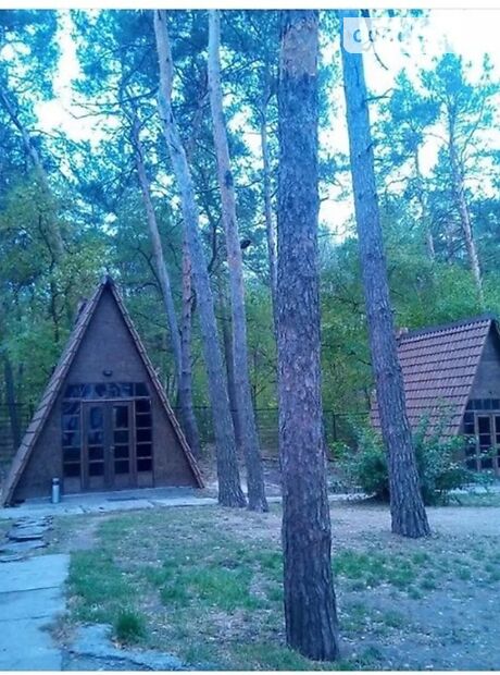 Готовый бизнес в Светловодске, продажа по Ювілейна 1А, район Светловодск, цена: 100 000 долларов за объект фото 1 Готовый бизнес в Светловодске, продажа по Ювілейна 1А, район Светловодск, цена: 100 000 долларов за объект фото 1