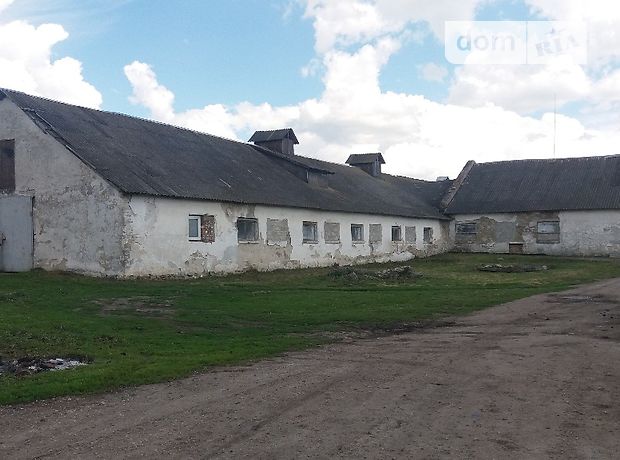 Готовый бизнес в Тернополе, продажа по, в селе Толстолуг, цена: 29 000 долларов за объект фото 1 Готовый бизнес в Тернополе, продажа по, в селе Толстолуг, цена: 29 000 долларов за объект фото 1