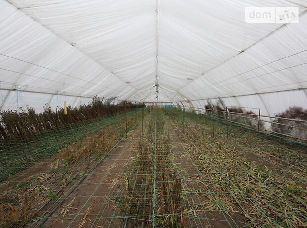 Готовий бізнес в Запоріжжі, продаж по шевченко 86 б, в селі Дніпрельстан, ціна: 180 000 долларів за об’єкт фото 1 Готовий бізнес в Запоріжжі, продаж по шевченко 86 б, в селі Дніпрельстан, ціна: 180 000 долларів за об’єкт фото 1